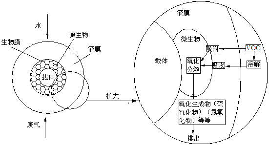 生物滤池除臭设备工作原理